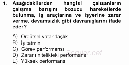 Performans Yönetimi 2012 - 2013 Ara Sınavı 1.Soru