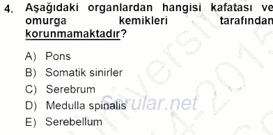 Tıbbi Terminoloji 2014 - 2015 Dönem Sonu Sınavı 4.Soru