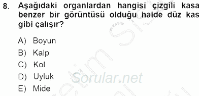 Tıbbi Terminoloji 2014 - 2015 Dönem Sonu Sınavı 8.Soru