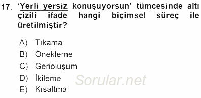 Genel Dilbilim 1 2015 - 2016 Ara Sınavı 17.Soru