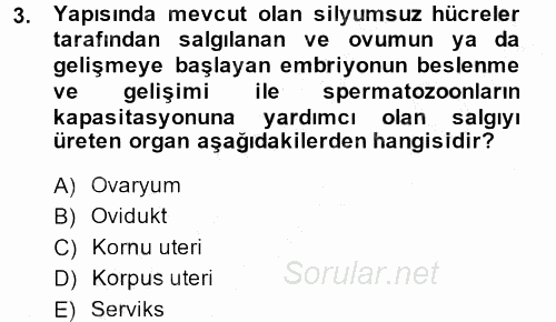 Doğum Bilgisi ve Suni Tohumlama 2013 - 2014 Ara Sınavı 3.Soru