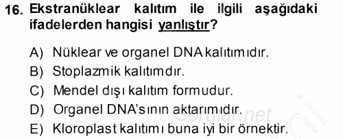 Temel Veteriner Genetik 2014 - 2015 Ara Sınavı 16.Soru