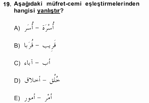 Arapça 3 2014 - 2015 Tek Ders Sınavı 19.Soru