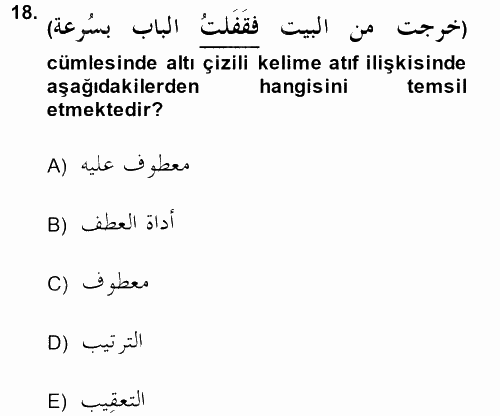 Arapça 3 2014 - 2015 Tek Ders Sınavı 18.Soru