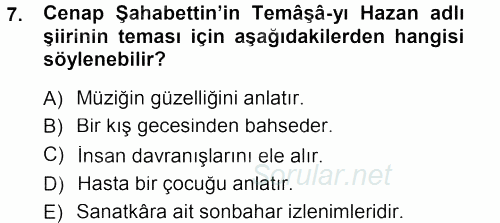 II. Abdülhamit Dönemi Türk Edebiyatı 2012 - 2013 Dönem Sonu Sınavı 7.Soru
