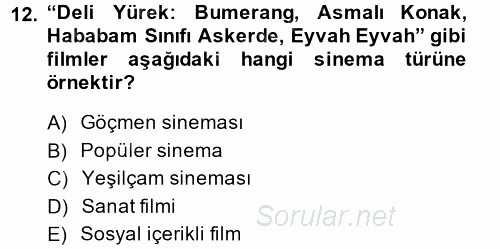 Film ve Video Kültürü 2014 - 2015 Ara Sınavı 12.Soru