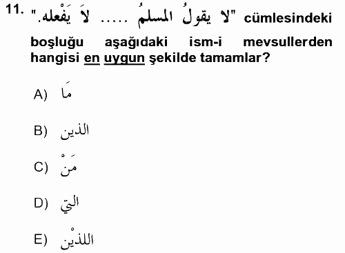 Arapça 3 2016 - 2017 Ara Sınavı 11.Soru