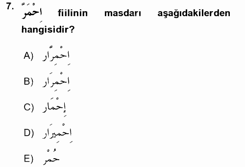 Arapça 3 2016 - 2017 Ara Sınavı 7.Soru
