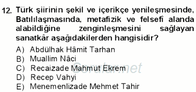Tanzimat Dönemi Türk Edebiyatı 1 2012 - 2013 Dönem Sonu Sınavı 12.Soru