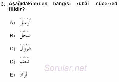 Arapça 3 2016 - 2017 Dönem Sonu Sınavı 3.Soru