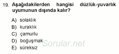 Türk Dili 1 2012 - 2013 Ara Sınavı 19.Soru