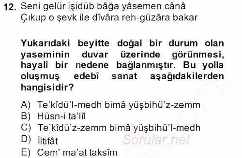 Eski Türk Edebiyatına Giriş: Söz Sanatları 2013 - 2014 Ara Sınavı 12.Soru