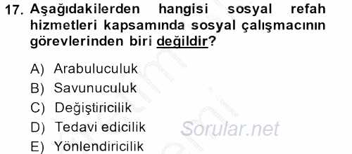 Sosyal Hizmete Giriş 2014 - 2015 Dönem Sonu Sınavı 17.Soru