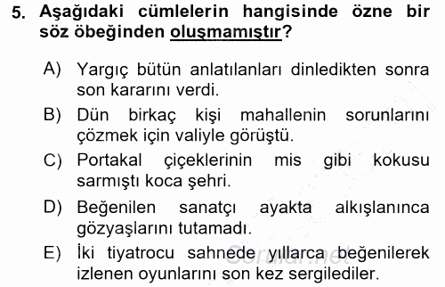 Türk Dili 1 2015 - 2016 Dönem Sonu Sınavı 5.Soru