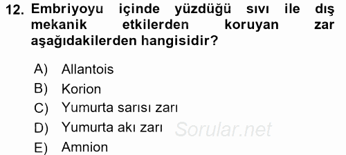 Temel Zootekni 2015 - 2016 Dönem Sonu Sınavı 12.Soru