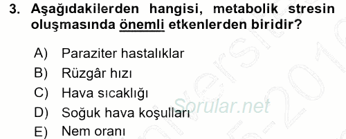 Temel Zootekni 2015 - 2016 Dönem Sonu Sınavı 3.Soru
