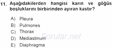Tıbbi Terminoloji 2015 - 2016 Ara Sınavı 11.Soru