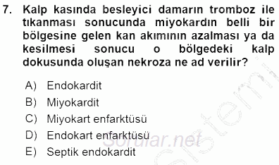 Tıbbi Terminoloji 2015 - 2016 Ara Sınavı 7.Soru