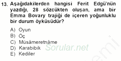 Tanzimat Dönemi Türk Edebiyatı 2 2014 - 2015 Ara Sınavı 13.Soru