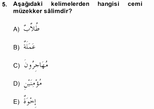 Arapça 1 2014 - 2015 Tek Ders Sınavı 5.Soru