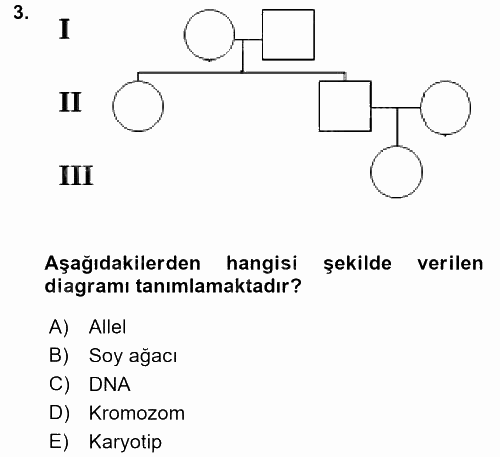 Temel Veteriner Genetik 2017 - 2018 Ara Sınavı 3.Soru