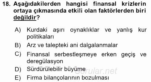 Türkiye Ekonomisi 2015 - 2016 Tek Ders Sınavı 18.Soru