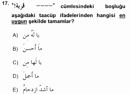 Arapça 4 2017 - 2018 3 Ders Sınavı 17.Soru