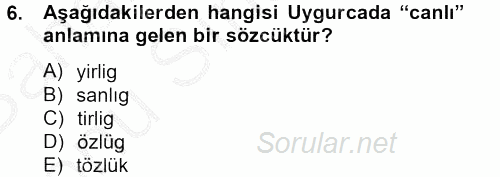 Uygur Türkçesi 2012 - 2013 Dönem Sonu Sınavı 6.Soru