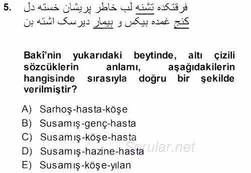 XVI. Yüzyıl Türk Edebiyatı 2013 - 2014 Dönem Sonu Sınavı 5.Soru