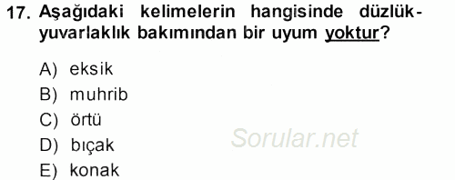 Osmanlı Türkçesine Giriş 1 2013 - 2014 Dönem Sonu Sınavı 17.Soru