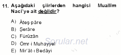 Tanzimat Dönemi Türk Edebiyatı 1 2013 - 2014 Dönem Sonu Sınavı 11.Soru