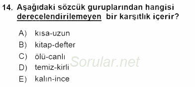 Genel Dilbilim 2 2015 - 2016 Ara Sınavı 14.Soru