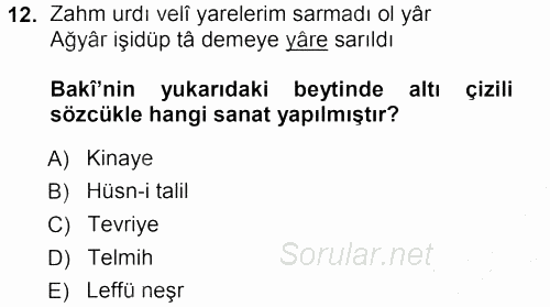 XVI. Yüzyıl Türk Edebiyatı 2012 - 2013 Ara Sınavı 12.Soru