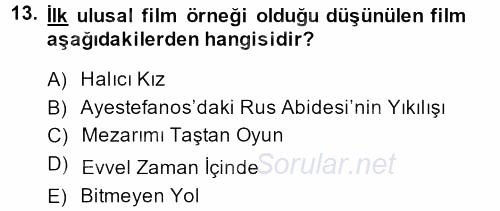 Film ve Video Kültürü 2013 - 2014 Ara Sınavı 13.Soru