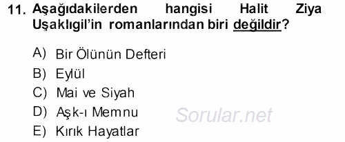 II. Abdülhamit Dönemi Türk Edebiyatı 2013 - 2014 Dönem Sonu Sınavı 11.Soru