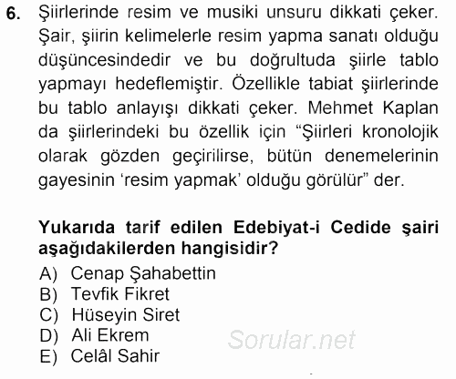 II. Abdülhamit Dönemi Türk Edebiyatı 2012 - 2013 Ara Sınavı 6.Soru