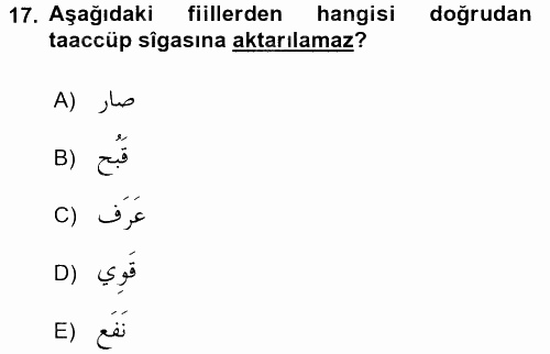 Arapça 4 2017 - 2018 Dönem Sonu Sınavı 17.Soru