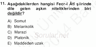 II. Meşrutiyet Dönemi Türk Edebiyatı 2013 - 2014 Ara Sınavı 11.Soru
