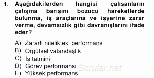 Performans Yönetimi 2013 - 2014 Tek Ders Sınavı 1.Soru