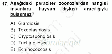 Temel Veteriner Parazitoloji 2014 - 2015 Ara Sınavı 17.Soru
