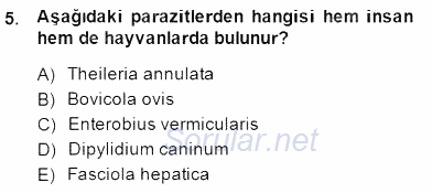 Temel Veteriner Parazitoloji 2014 - 2015 Ara Sınavı 5.Soru