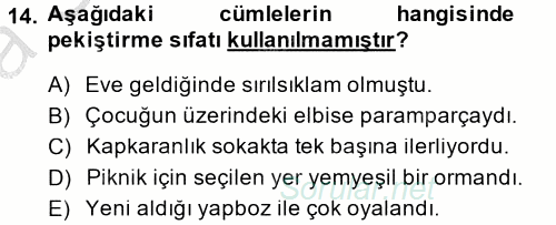Türk Dili 2 2014 - 2015 Ara Sınavı 14.Soru
