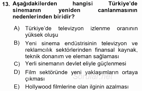 Film ve Video Kültürü 2017 - 2018 Ara Sınavı 13.Soru