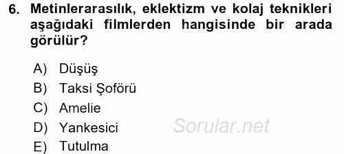 Film ve Video Kültürü 2017 - 2018 Ara Sınavı 6.Soru