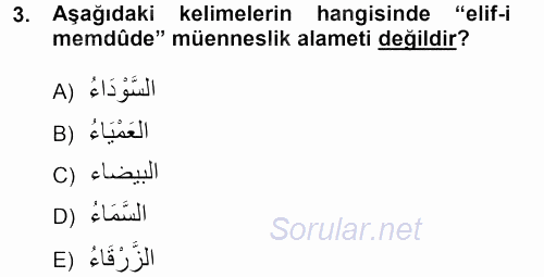 Arapça 1 2012 - 2013 Dönem Sonu Sınavı 3.Soru