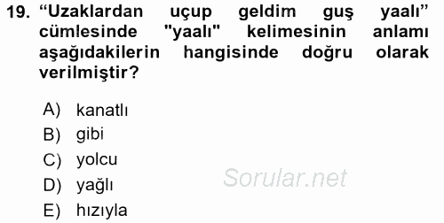 Çağdaş Türk Yazı Dilleri 1 2016 - 2017 3 Ders Sınavı 19.Soru