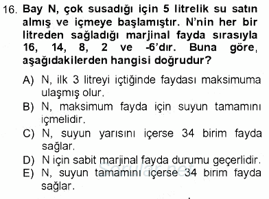 İktisada Giriş 1 2012 - 2013 Ara Sınavı 16.Soru