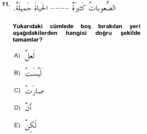Arapça 2 2017 - 2018 3 Ders Sınavı 11.Soru