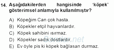 Genel Dilbilim 2 2014 - 2015 Ara Sınavı 14.Soru