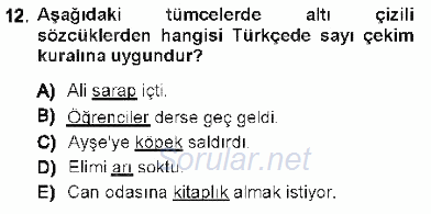 Genel Dilbilim 1 2012 - 2013 Dönem Sonu Sınavı 12.Soru